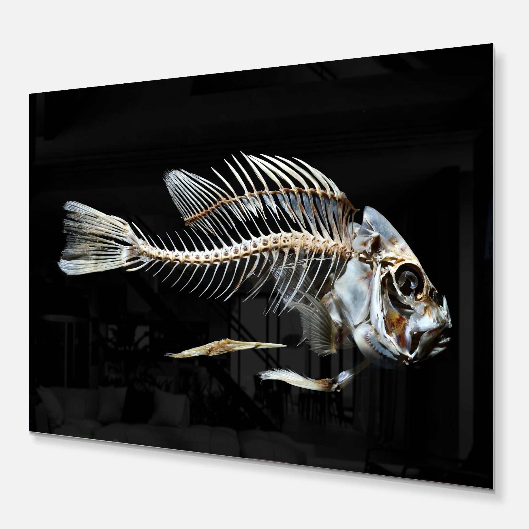 Designart 'Fish Skeleton Bone on Black ' Animal Metal Wall Art