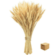 thumbnail image 1 of Ramo De Trigo Naturaleza Muerta Decoracion 150 Espigas Belug, Café, 1 of 5