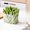 Clear, variant on Specollect Refrigerator Organizer Box, Fridge Side Door Storage Containers Plastic Translucent,Classification Storage Box Transparent Fruit And Vegetable Storage Organise