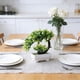 thumbnail image 4 of Plantas Decorativas En Macetas, Flores de Imitación, Muebles de Interior para El Hogar, Arreglos para La Mesa Del Comedor, Mueble de Tv para La Sala de Estar, Plantas En Macetas., 4 of 6