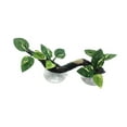 thumbnail image 4 of Runquan Climb Tree Branch Decor Decor Reptiles Plants for Bearded Dragons Snake spotted leaves, 4 of 8