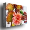 Trademark Fine Art "Autumn Joy" Canvas Wall Art by Michelle Calkins