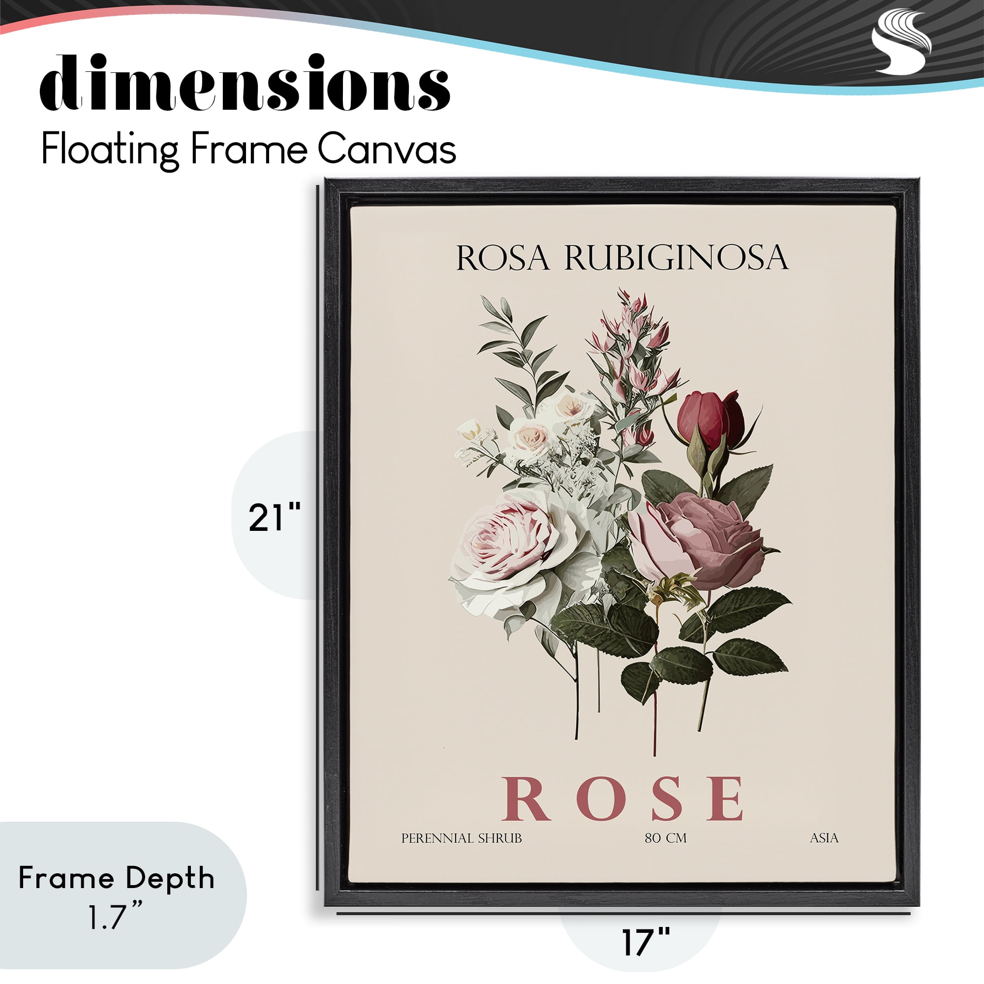 Stupell Industries Natural Rose Bundle Black Framed Floater Canvas Wall Art, design by Christopher Giampietro