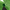Green, variant on Trophy Ridge Kill Shot Whisker Biscuit Arrow Rest, Medium, Black