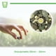 thumbnail image 5 of Piedra Decorativa - Ideal para macetas, Jardines, decoración Smart Garden Granulometría Grande, Sea Stone, 5 of 6