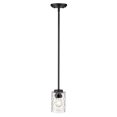 thumbnail image 1 of Acclaim Lighting IN20014BK Transitional, 1-Light Pendant Black, 1 of 2