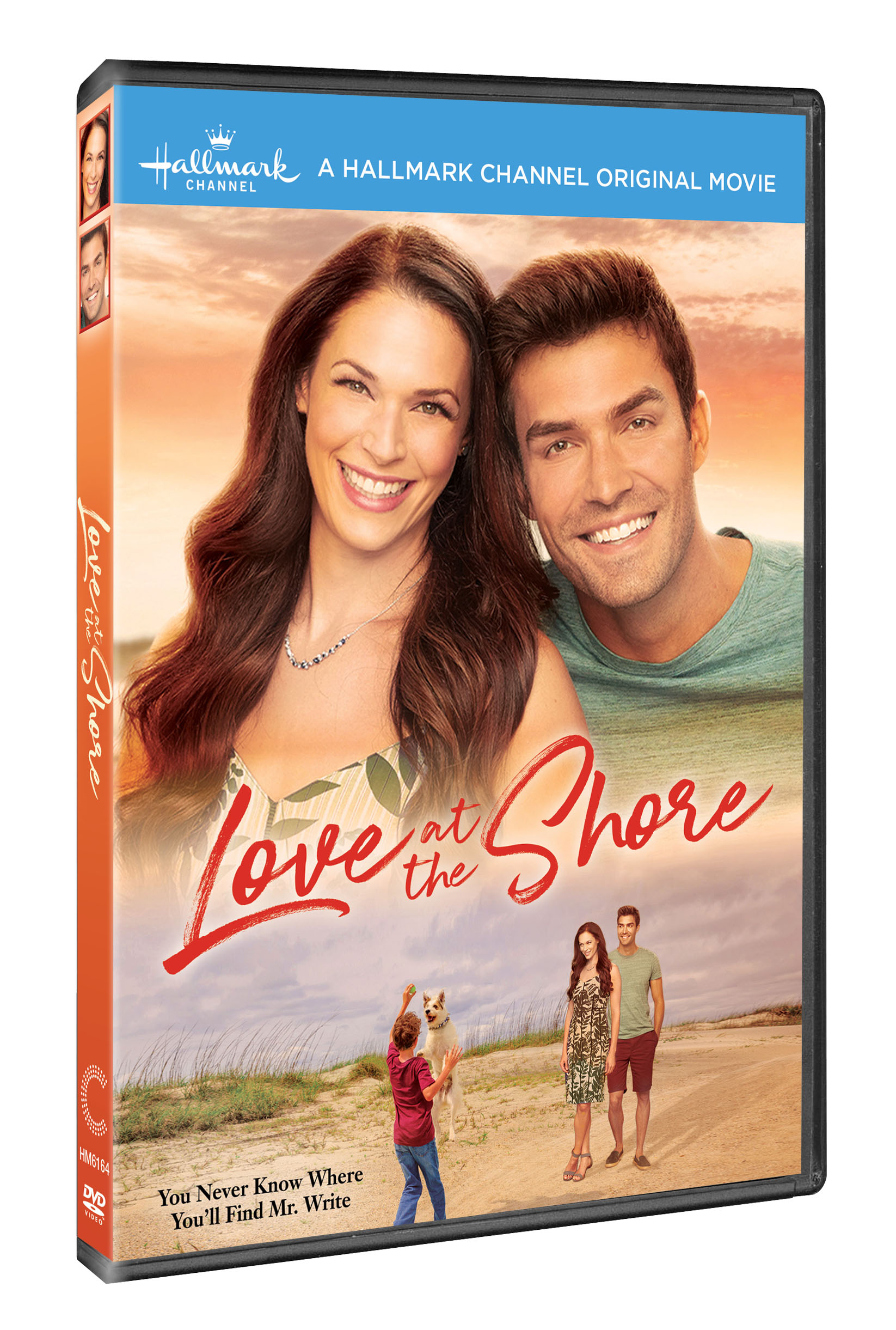 Love at the Shore (DVD) - Walmart.com