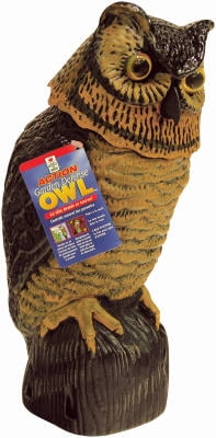 Details about   Owl Bobble Head Lot of 2 