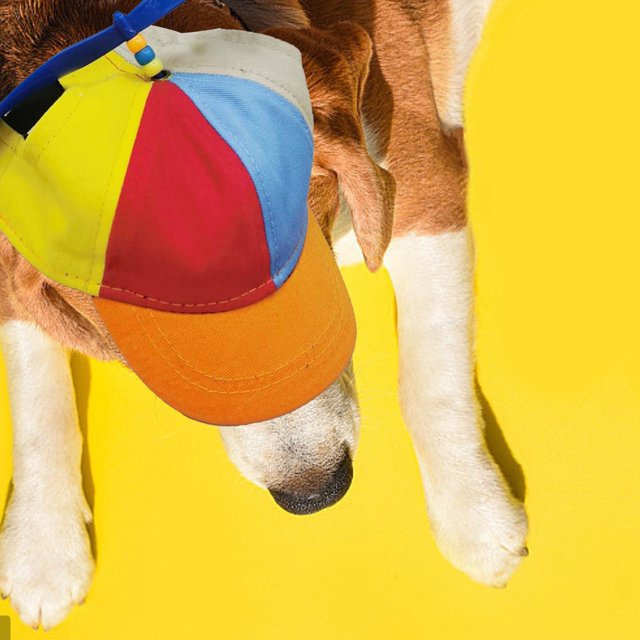 Medium Funny Propeller Dog Hat, Color Matching Propeller Dog Baseball Caps Headdress Hats, Pet Dog Hats for Large and Medium Dogs, Fun Novelty Accessory
