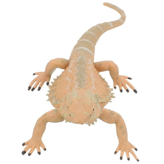 Miangastore Bearded Dragon Figurine Realistic Plastic Lizard Reptile Figurine Educational Prop