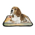 thumbnail image 2 of PKQWTM Sunset Sea Rocks Hot Air Balloon Pet Dog Cat Bed Pee Pads Mat Cushion Potty Dogsblankets Crate Bed Kennel 28x36 inch, 2 of 3
