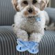 thumbnail image 4 of Hytrove 4Ud Sandalias Transpirables Para Perros En Azul Con Material Ventilado Y Protección Para Patas, 4 of 8