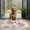 Pioneer Flower Floral-1, variant on Pioneer Flower Floral Print Pattern Door Rugs,Washable Non Slip Door Mats Indoor,Decorative Door Mats,Entry Mat Indoor for Entrance,Bedroom,Kitchen,Bathroom,16"x24"