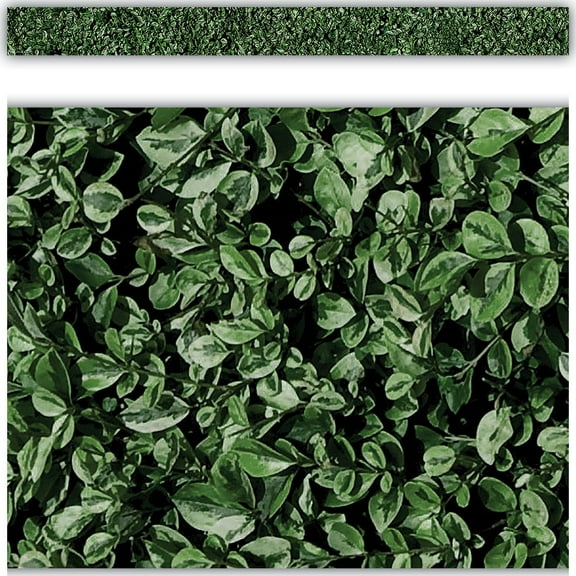 Modern Farmhouse Boxwood Straight Border Trim [TCR8513]