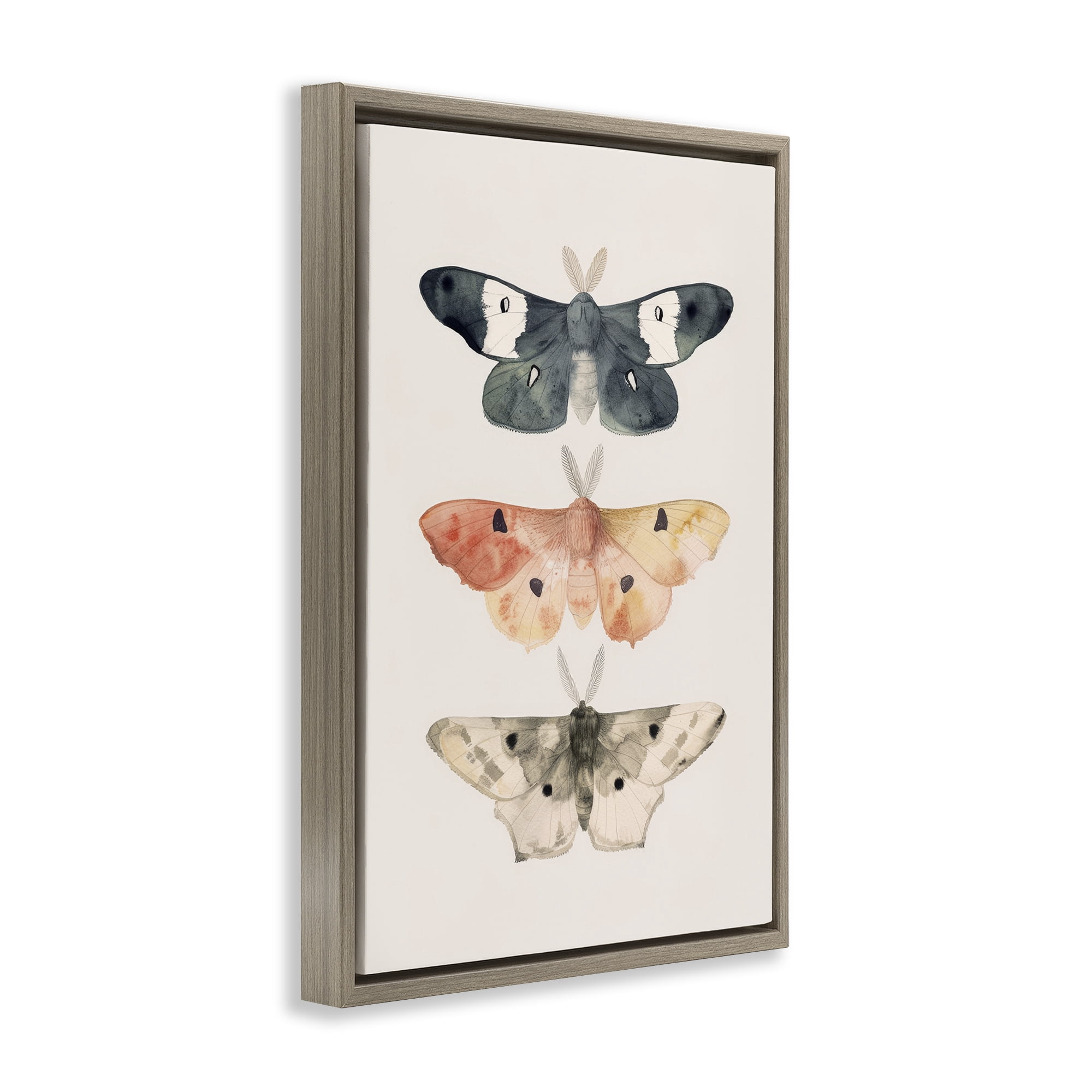 Stupell Industries Watercolor Moth Trio Animals Painting Brown Floater Framed Canvas Art Print Wall Art, 17 x 25