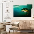 thumbnail image 5 of Elephant Stock Peacock Bass Wall Art - Horizontal Canvas Wall Art - Living Room Wall Decor - Animal Canvas - Teal And Yellow Decor - 12" x 8", 5 of 8