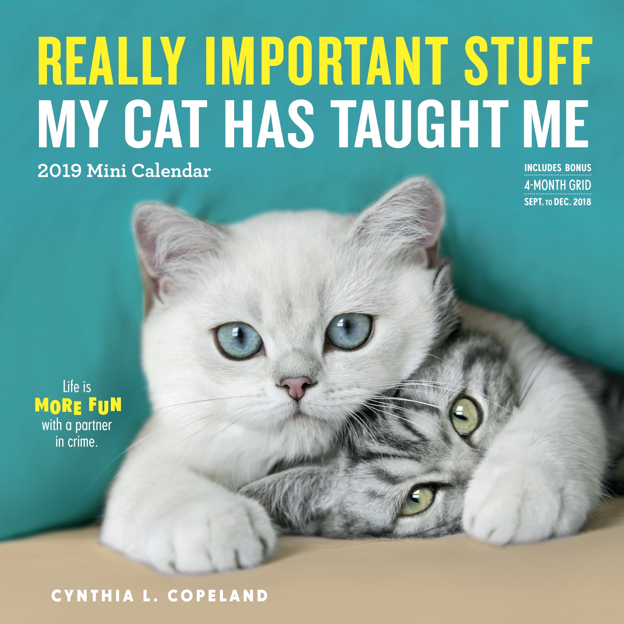 Really Important Stuff My Cat Has Taught Me Mini Calendar 2019
Epub-Ebook