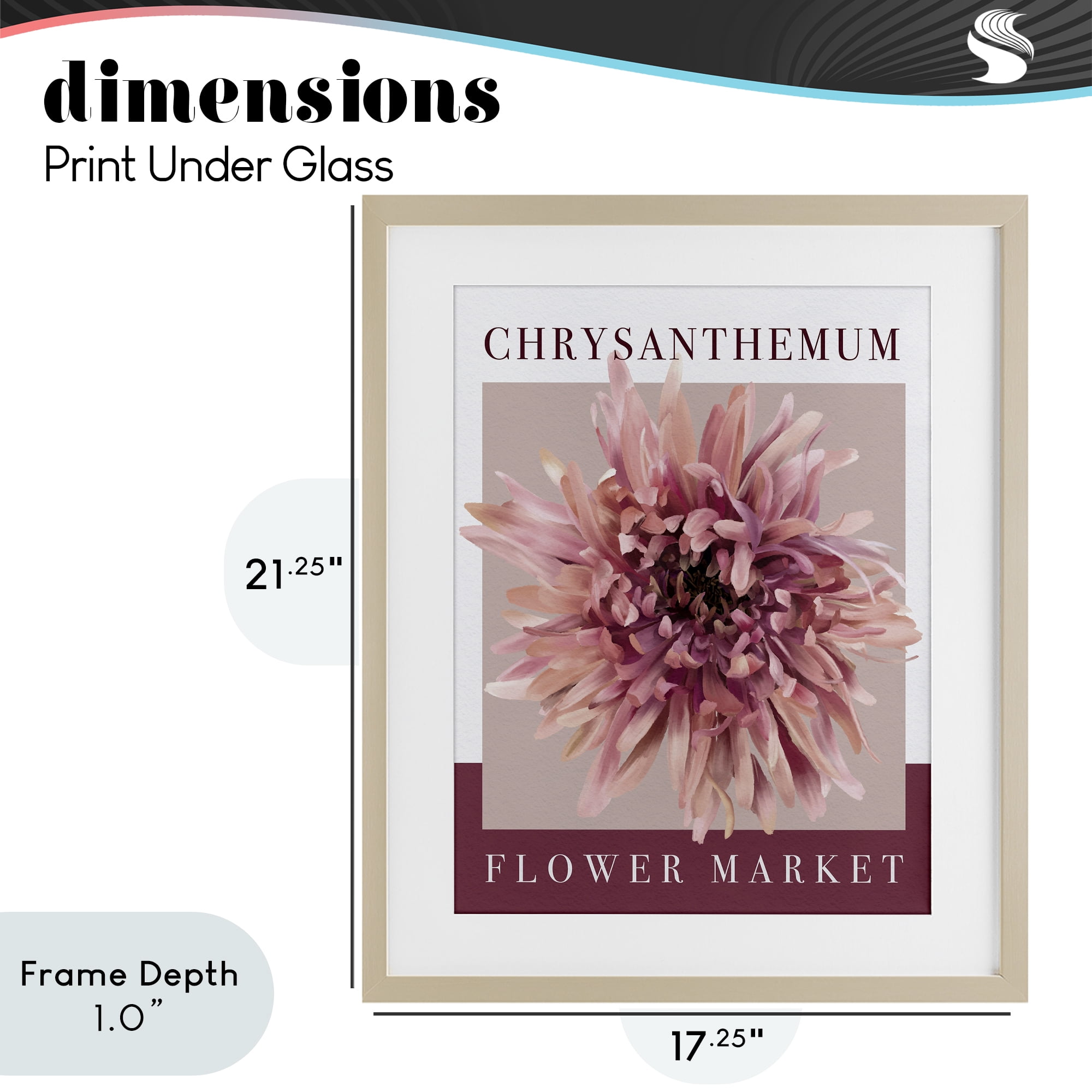 Stupell Industries Chrysanthemum Flower Market Birch Framed Print Under Glass, design by Jennifer Stith