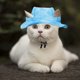 thumbnail image 5 of Sombrero parasol para perros y gatos con protección auditiva y hebilla de cuerda ajustable, sombrero de pescador, suministros para mascotas, sombrero para gatos, 5 of 6