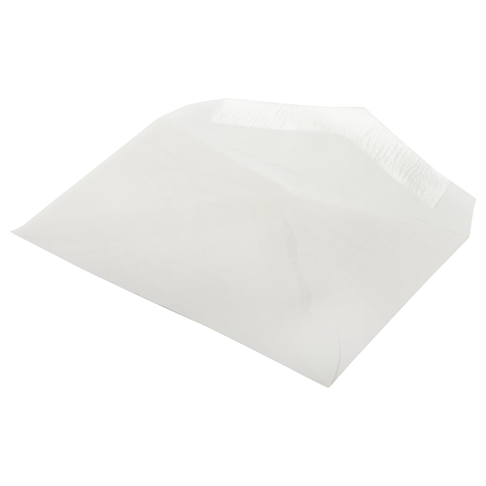 JAM Paper 2Pay Translucent Envelopes, 2.5x4.3, 1000/Carton, Clear