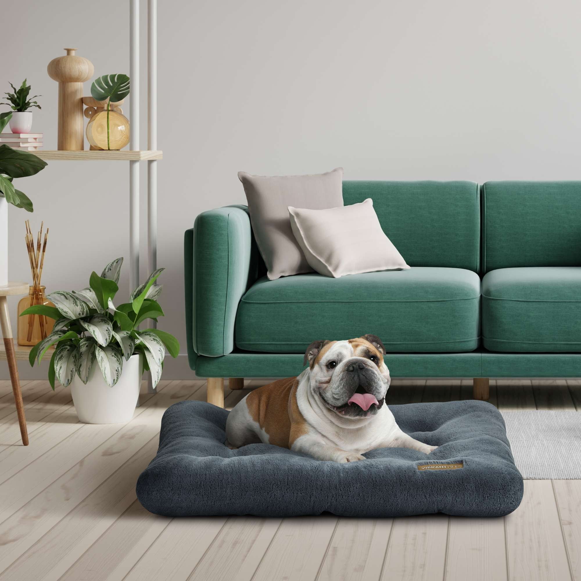 Vibrant Life Medium Dog Bed, Plush Pillow Bed For Medium Breeds, Medium, 36" x 26", Grey