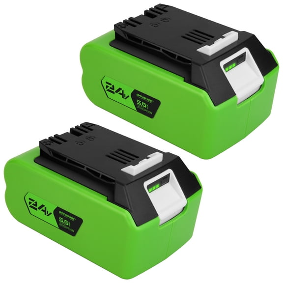 Banshee 48V Combo - 2 Pack of 24V 5Ah Lithium Batteries Compatible with All Greenworks 24V & 48V (2x24V) Tools