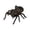 F-Brown, variant on Educational Wind Up Ladybug Toy Realistic Movement Plastic Insect Model for Toddlers Nature Learning Science Discovery and Classroom Decor