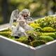thumbnail image 5 of Maceta Decorativa Bohemian Fairy Macetas Fairy Planter Accesorios Para Jardines Fairy Maceta Acrílica Bohemian Para Tu Hogar O Jardín, 5 of 5