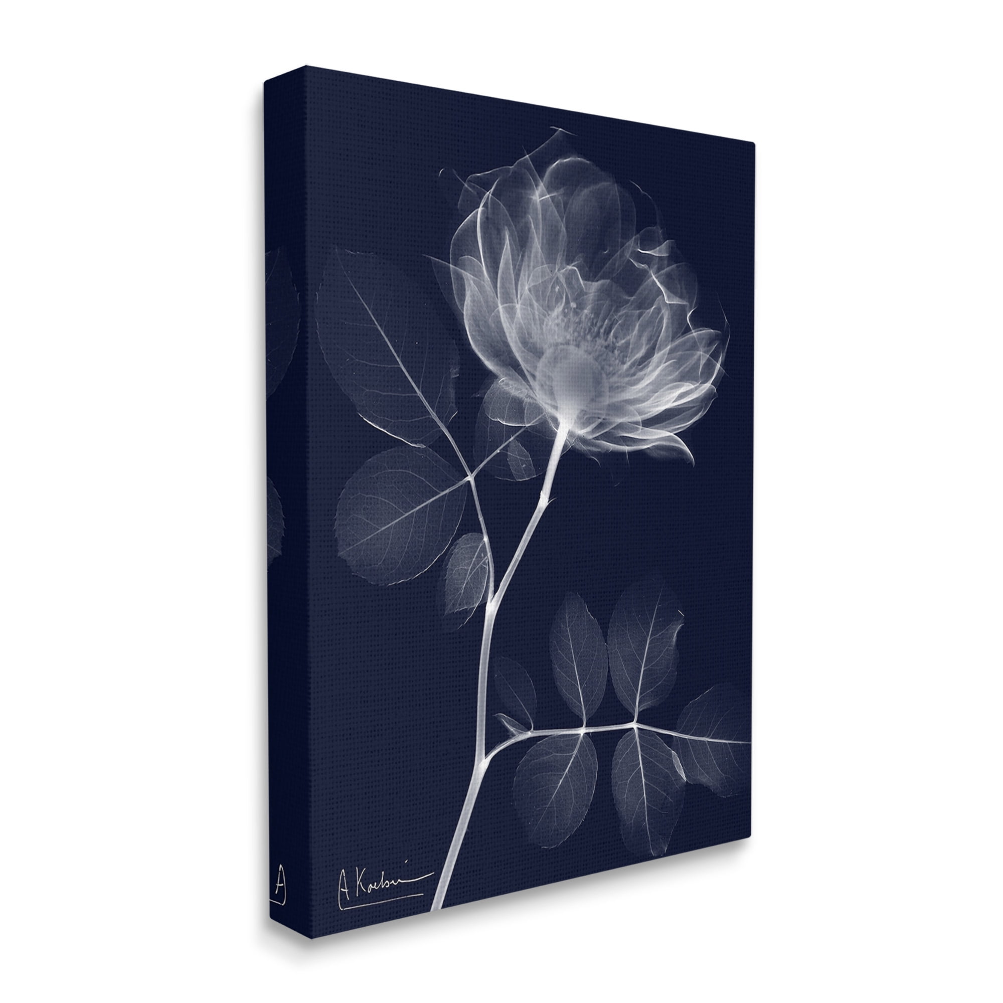 Stupell Industries Dynamic Dark Flower Botanical & Floral Photography Gallery Wrapped Canvas Art Print Wall Art, 16 x 20