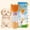 orange 350+200ML, variant on JOPOY Leakproof Purple ABS Cat Water Bottle