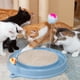 thumbnail image 3 of Juguete Elástico onlyliua Juguetes para Gatos Interactivo Colorido, 3 of 7