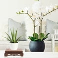 thumbnail image 1 of Mobutofu 1Pcs Rectangular Wood Flower Pot Stool for Home Users 7.58X4.64X2.36in, 1 of 6