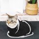 thumbnail image 1 of RKSTN Polyester Shower Ba G Breathable Mesh Cat Shower Bag for Manicure, Scratch-Resistant, Adjustable Shower Polyester Soft Cat Wash Bag Black, 1 of 6