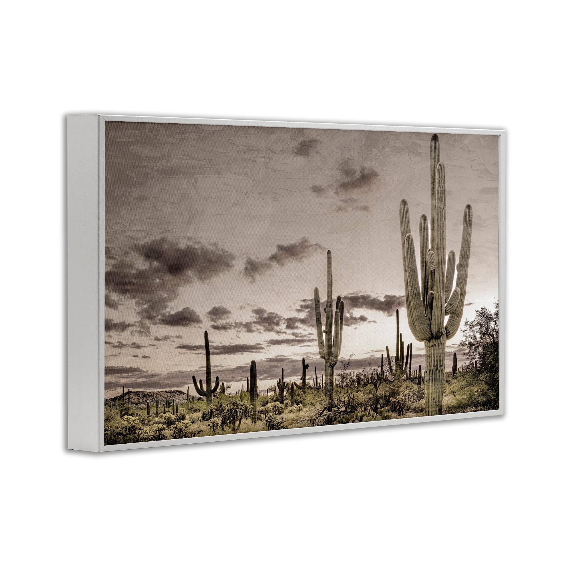 Stupell Industries Desert Sky Wilderness White Framed Giclee Art, design by Kim Allen