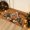 B, variant on Folkulture Christmas Door Mat Outdoor, Eco Friendly Christmas Door Mats for Front Door, 28 X 16 Inch Welcome Matt or Doormat for Home Entrance, Durable & Anti Slip Coir Door Mats (Gingerbread House)
