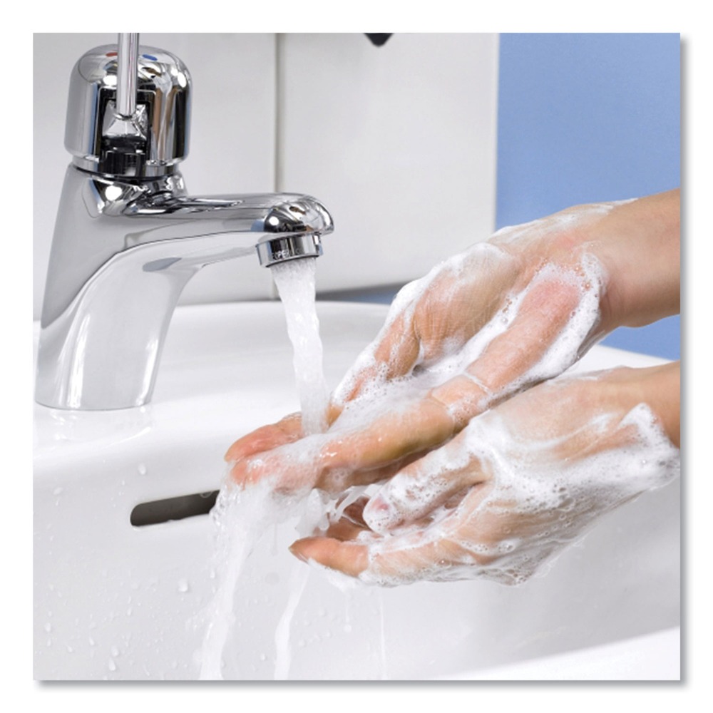 1L Refill Unscented Premium Extra Mild Soap (6/Carton)