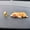 B, variant on Cute Cartoon Sleeping Corgi Resin Car Ornament, Mini Dachshund Dog Figurine for Dashboard, Desk, Home Decor