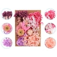 thumbnail image 3 of Uxcell Pressed Flowers for Craft Bulk Dried Flowers Natural Pressed Flowers Leaves Light Pink, 3 of 5