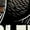 Black, variant on Turkey Gobblezilla Adult Heather Gray Crew Neck Short Sleeve Tee-Medium