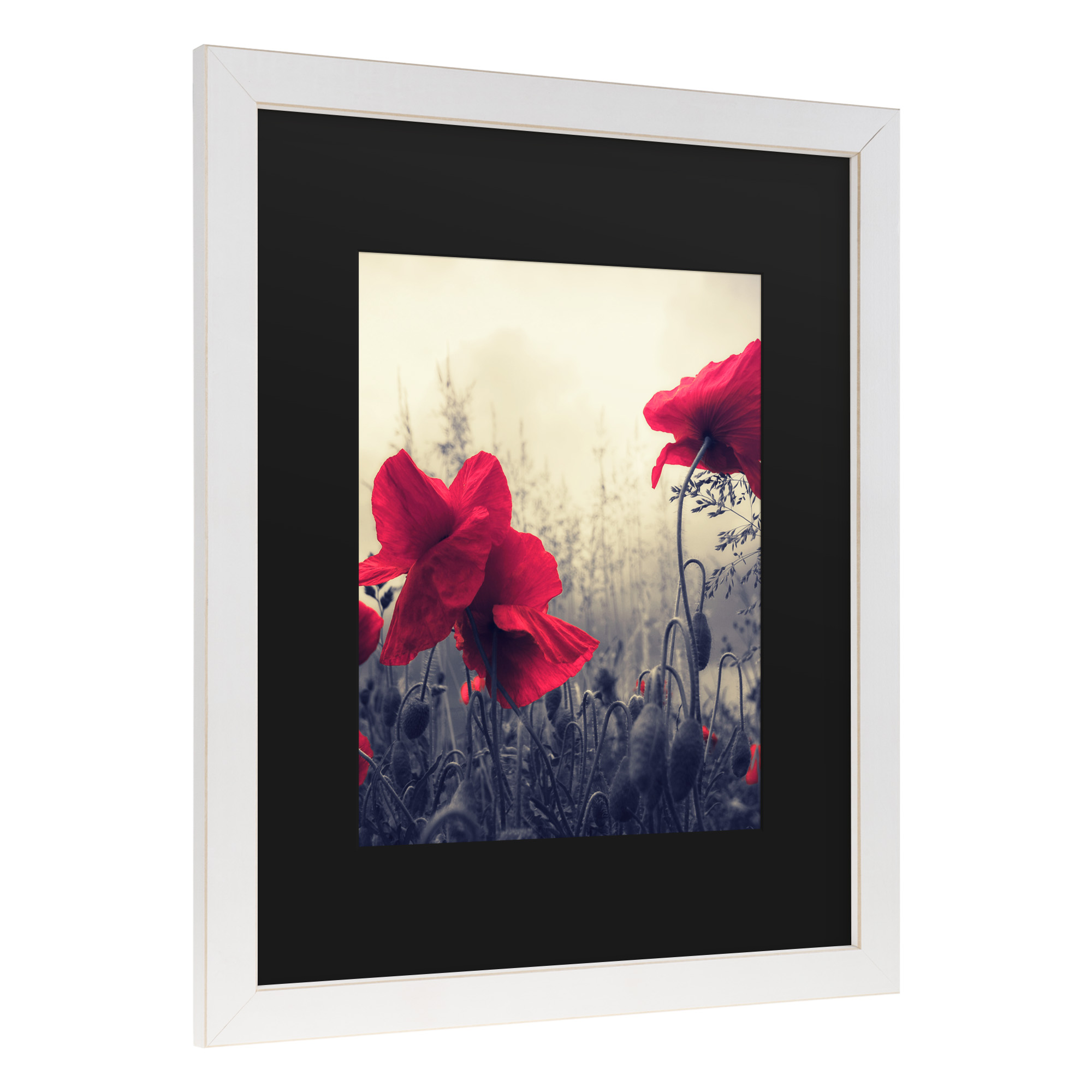 Trademark Fine Art 'Limitless' Canvas Art by Philippe Sainte-Laudy