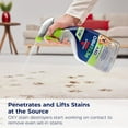 thumbnail image 3 of PET PRO OXY Stain Destroyer for Carpet and Upholstery, 22 oz, 2 pack, 17739, 3 of 4