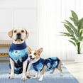 thumbnail image 1 of Traje de recuperación Salvador para Perros neutro Azul L, 1 of 10
