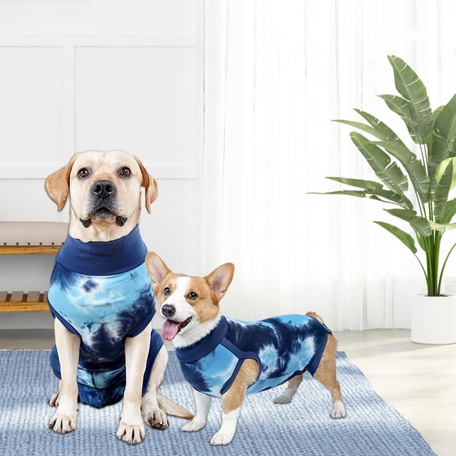 Traje de recuperación Salvador para Perros neutro Azul L