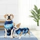 thumbnail image 1 of Traje de recuperación Salvador para Perros neutro Azul L, 1 of 10