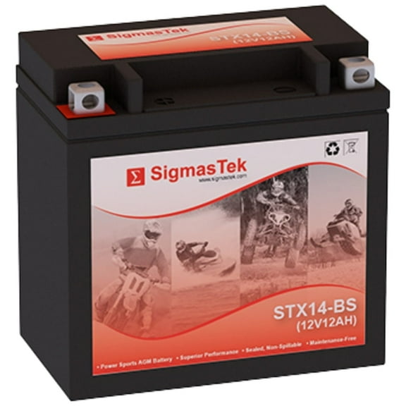Honda 300CC TRX300 FourTrax 300, 1988-2000 Battery Replacement STX14-BS 12V 12AH 200 CCA Spillproof