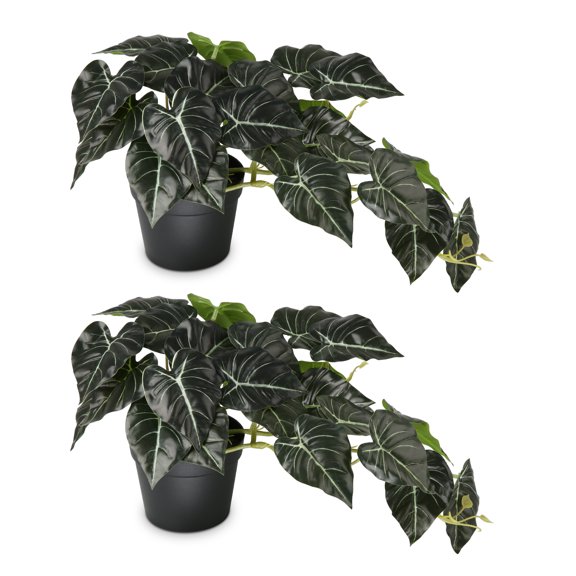 PARMPH 2 Packs Artificial Desk Plants, 17.71'' Faux Arrowroot Leaves Desk Plants for Office, Fake Greenery Desk Plants with Pot for Home Shelf Room Office Desk Decoration