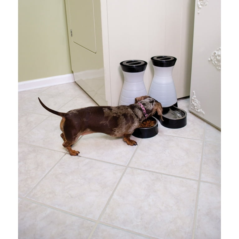 PetSafe Healthy Pet Food Station Medium Walmart
