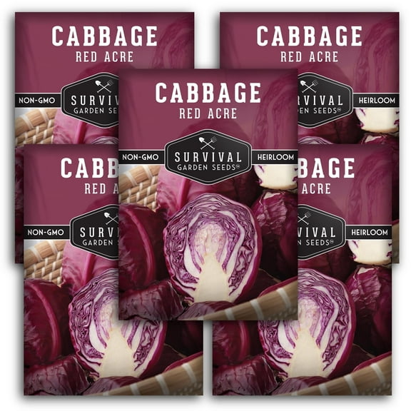 Red Acre Cabbage Seeds - 5 Pack - Non-GMO Heirloom Full Sun Biennial Vegetable
