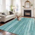 thumbnail image 2 of Duck Green Area Rugs 5'x7', Washable Small Throw Rugs for Laundry Room Playroom, Vintage Modern Abstract Art Ombre Indoor Outdoor Rug Non-Slip Low Pile Carpet Runner Reversible Floor Mats, 2 of 8