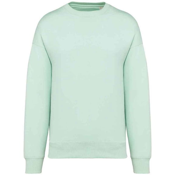 Native Spirit Womens Oversized Sweatshirt